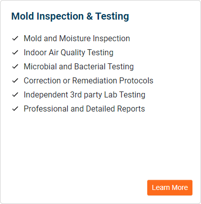 Mold Inspection and Testing services in New Jersey