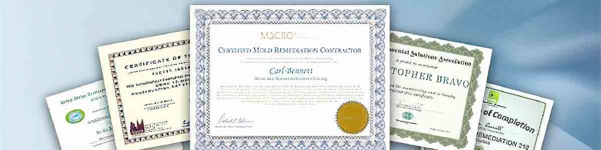 Mold inspection and remediation in Salem County New Jersey 