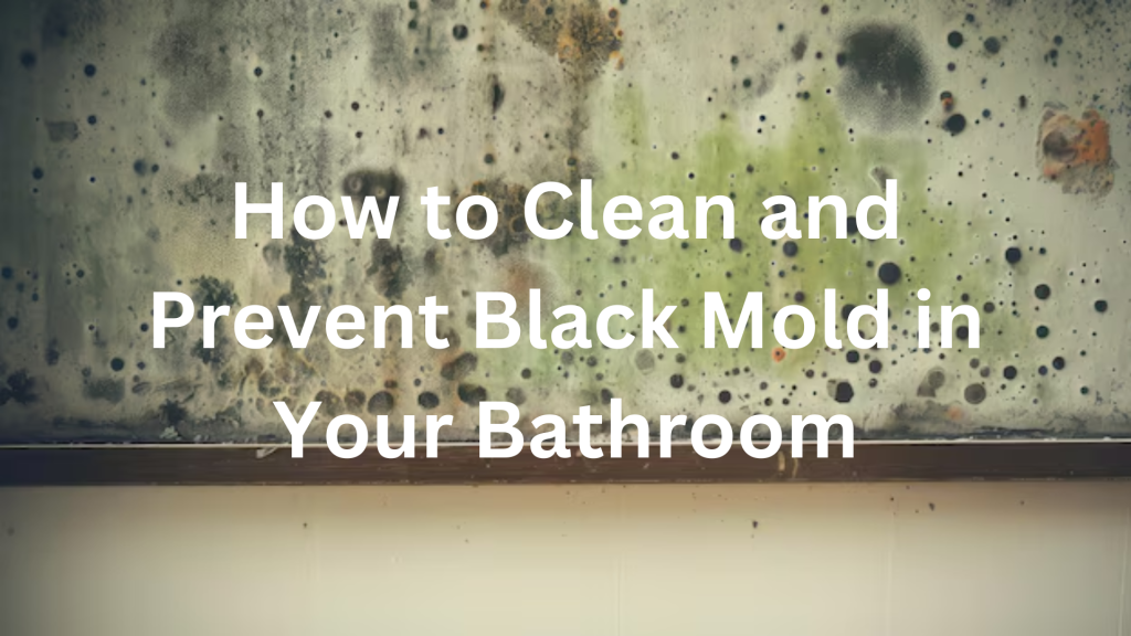 Mold in the Bathroom