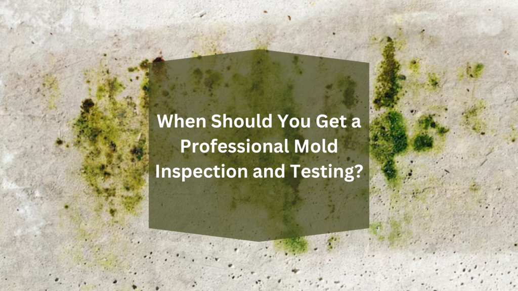 Professional Mold Inspection and Testing