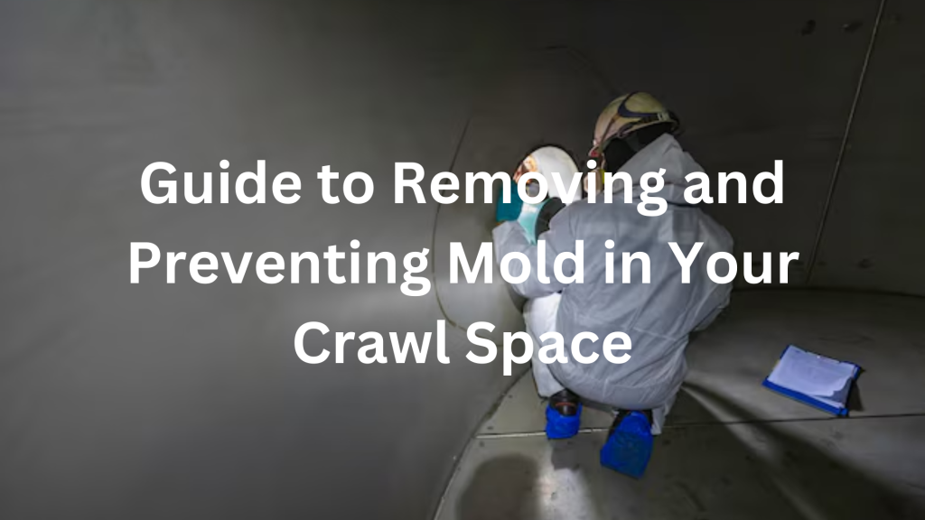 Guide to Crawl Space Mold Removal and Prevention