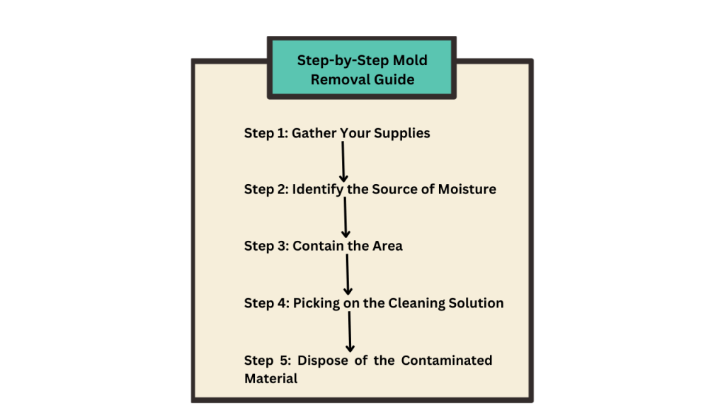 Step-by-Step Mold Removal Guide