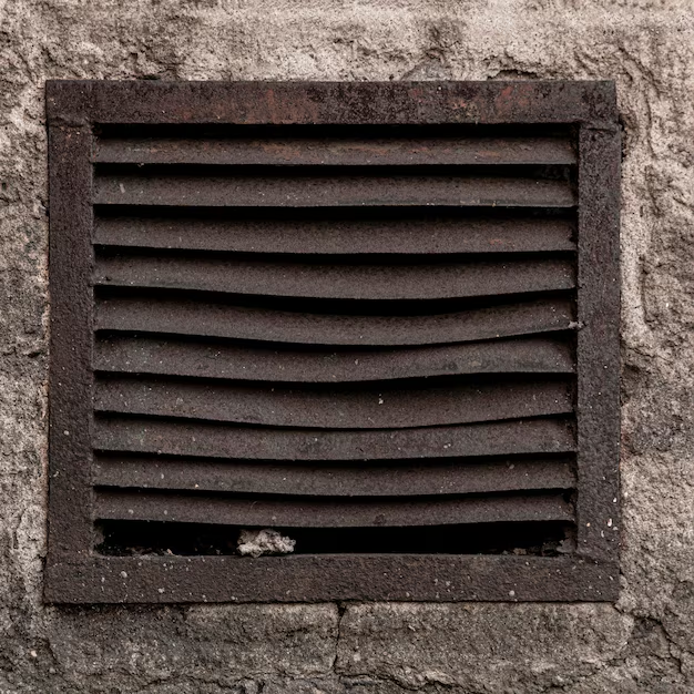 Black Mold In Air Vents