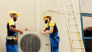 Signs of Mold in Your HVAC System and How to Remove It Safely