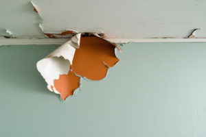 What Does Water Damage Look Like? Signs and How to Spot It