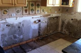 kitchen-mold-removal-services